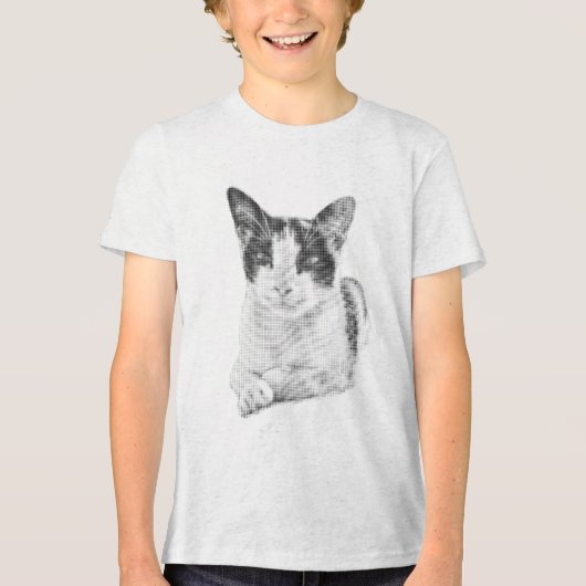 Lapjeskat Halftone Tri-Blend Shirt (Voorkant)