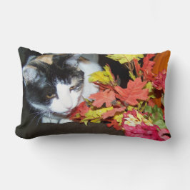 Lapjeskat Herfst Decoratie Kussen