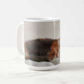 Lapjeskat Koffiemok (Voorkant links)
