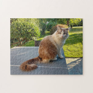 lapjeskat legpuzzel