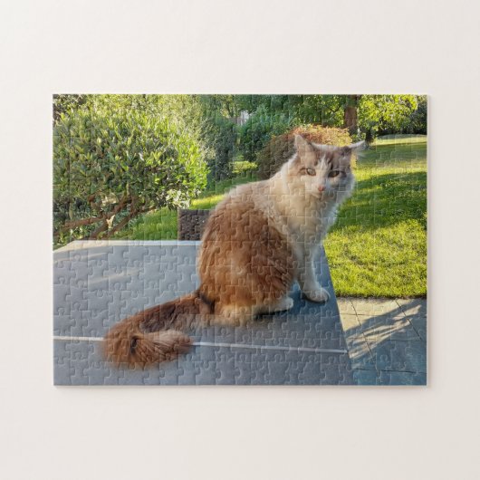 lapjeskat legpuzzel (Horizontaal)