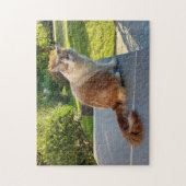 lapjeskat legpuzzel (Verticaal)