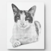 Lapjeskat Retro Halftone Fotoplaat (Voorkant)