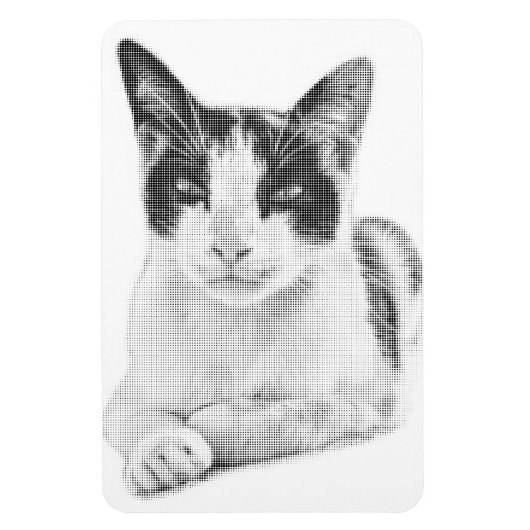 Lapjeskat Retro Halftone Magneet (Verticaal)