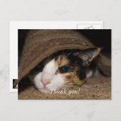 Lapjeskat Taco Bedankkaart Briefkaart (Voorkant / Achterkant)