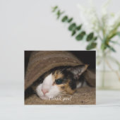 Lapjeskat Taco Bedankkaart Briefkaart (Staand voorkant)