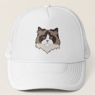 Lapjeskat Trucker Pet