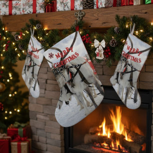 Lapland Kerstrendieren & Husky sledehonden Grote Kerstsok