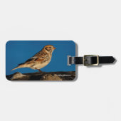 Lapland Longspur op een Sunlit Log Bagagelabel (Voorkant horizontaal)
