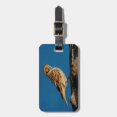 Lapland Longspur op een Sunlit Log Bagagelabel (Voorkant verticaal)