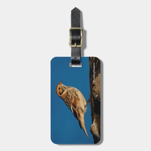 Lapland Longspur op een Sunlit Log Bagagelabel (Voorkant verticaal)