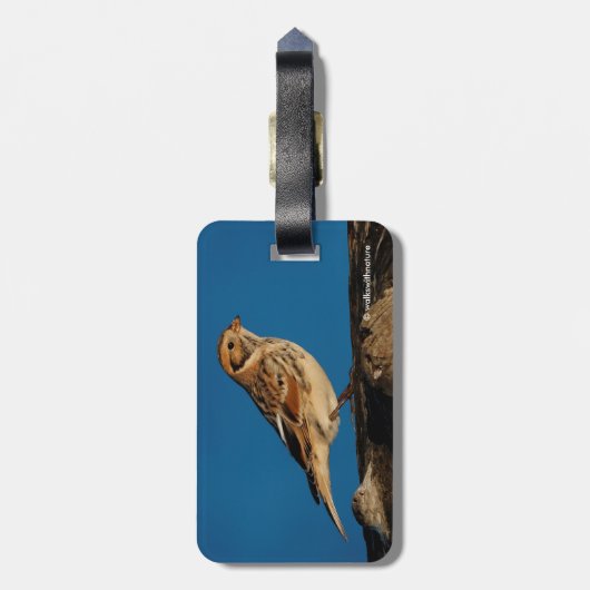 Lapland Longspur op een Sunlit Log Bagagelabel (Achterkant verticaal)