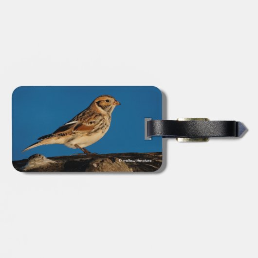 Lapland Longspur op een Sunlit Log Bagagelabel (Achterkant horizontaal)