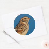 Lapland Longspur op een Sunlit Log Ronde Sticker (Envelop)