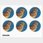 Lapland Longspur op een Sunlit Log Ronde Sticker (Vel)