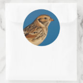 Lapland Longspur op een Sunlit Log Ronde Sticker (Tas)
