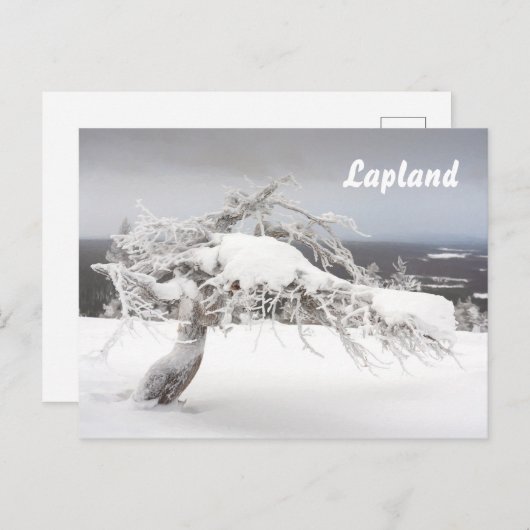 Lapland souvenir briefkaart (Voorkant / Achterkant)