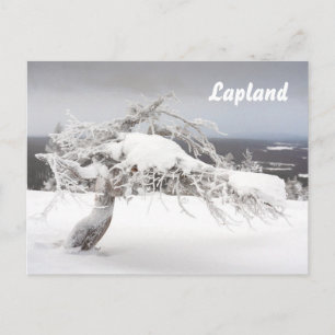 Lapland souvenir briefkaart