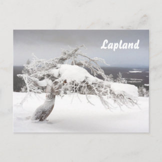 Lapland souvenir briefkaart