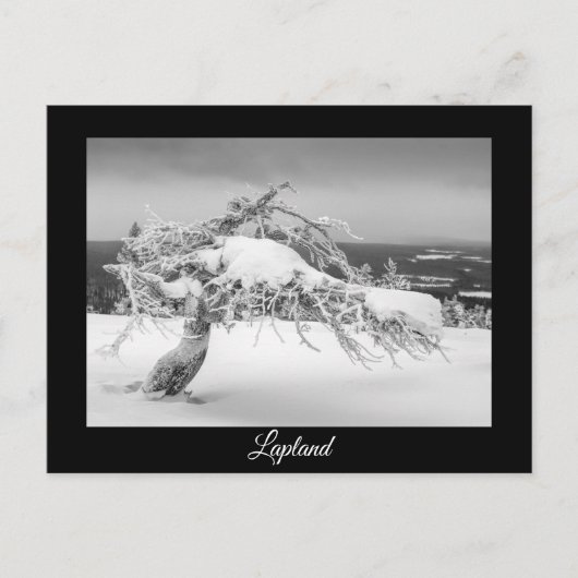 Lapland winter souvenir briefkaart (Voorkant)