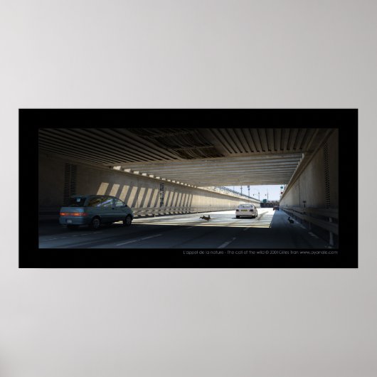 L'appel de la nature - The call of the wild Poster (Voorkant)