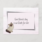 Lappenpop Kat Huisdier Medeleven Briefkaart (Voorkant)