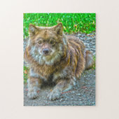 Lapphond. Legpuzzel (Verticaal)