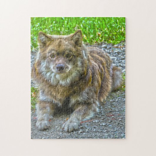 Lapphond. Legpuzzel (Verticaal)