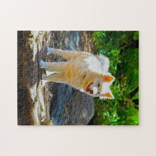 Lapphund Dog. Legpuzzel (Horizontaal)
