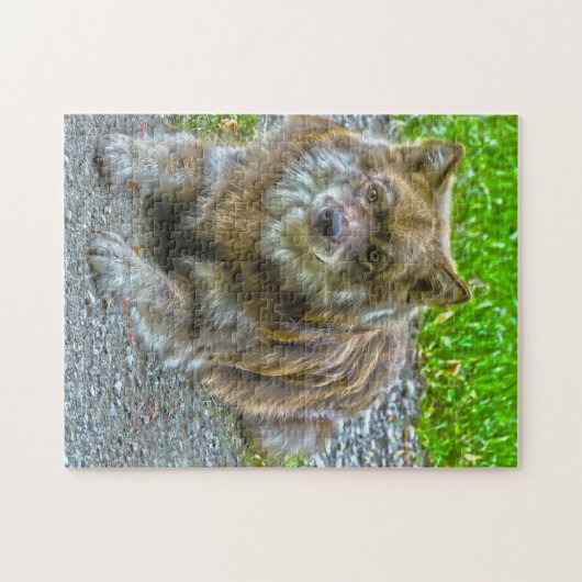 Lapphund Dog. Legpuzzel (Horizontaal)