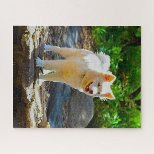 Lapphund Dog. Legpuzzel (Horizontaal)