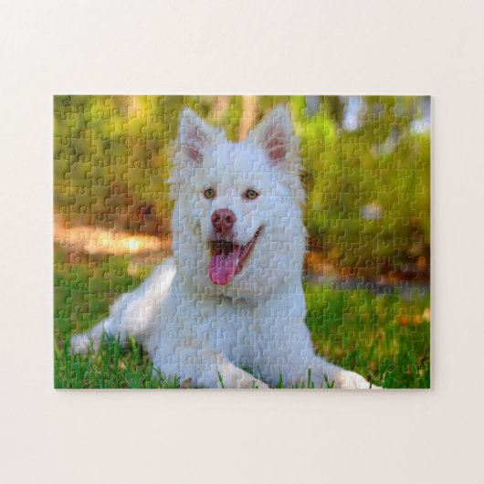 Lapphund Dog. Legpuzzel (Horizontaal)