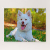 Lapphund Dog. Legpuzzel (Horizontaal)