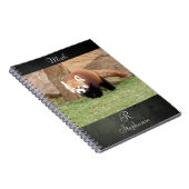Laptop Foto red panda, animal 0436. Notitieboek (Rechterzijde)