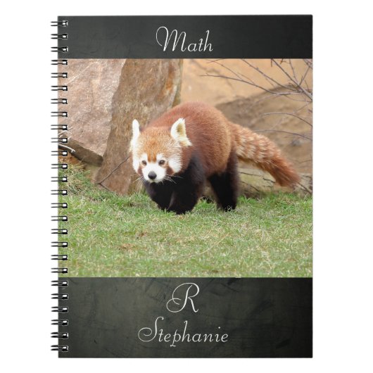 Laptop Foto red panda, animal 0436. Notitieboek (Voorkant)