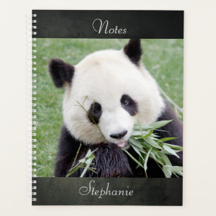 Laptop Fotogigant panda, dieren 03. notitieboek