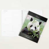 Laptop Fotogigant panda, dieren 04. notitieboek (Display)