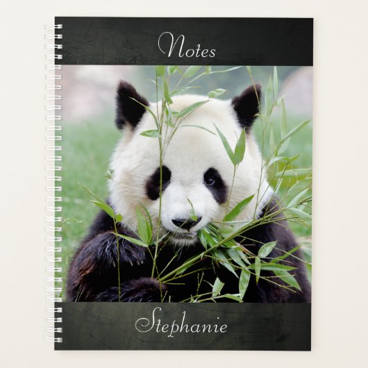 Laptop Fotogigant panda, dieren 04. notitieboek (Voorkant)