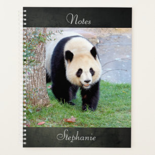 Laptop Fotogigant panda, dieren 05. notitieboek