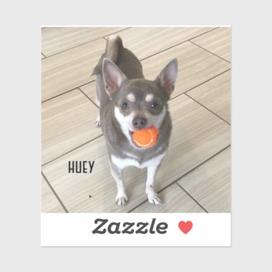 Laptop Huey Sticker (Vel)