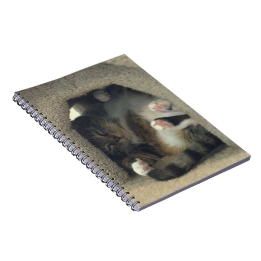 Laptop - Nap alsof je een kat bent! Notitieboek (Rechterzijde)