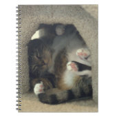 Laptop - Nap alsof je een kat bent! Notitieboek (Voorkant)