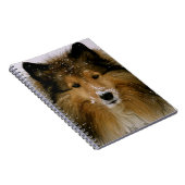 Laptop - Shetland Sheepdog op sneeuw Notitieboek (Rechterzijde)