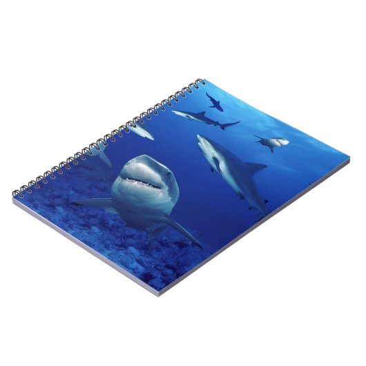 Laptophaaien Notitieboek (Linkerzijde)