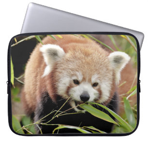 laptophoes Foto red panda, dieren. Laptop Sleeve