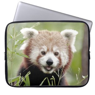 laptophoes Foto red panda, dieren. Laptop Sleeve