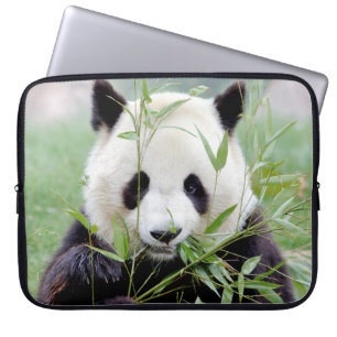 laptophoes Foto reusachtig panda, dieren. Laptop Sleeve