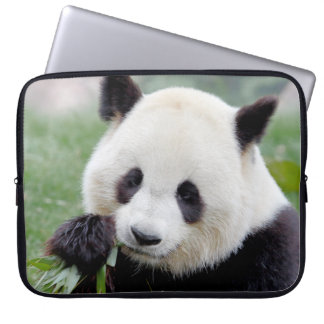laptophoes Foto reusachtig panda, dieren. Laptop Sleeve
