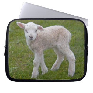 Laptophoes Little Lamb Laptop Sleeve