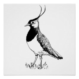 Lapwing Monochrome Print Perfect Poster